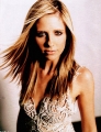 Sarah Michelle Gellar wearing glamorous dress